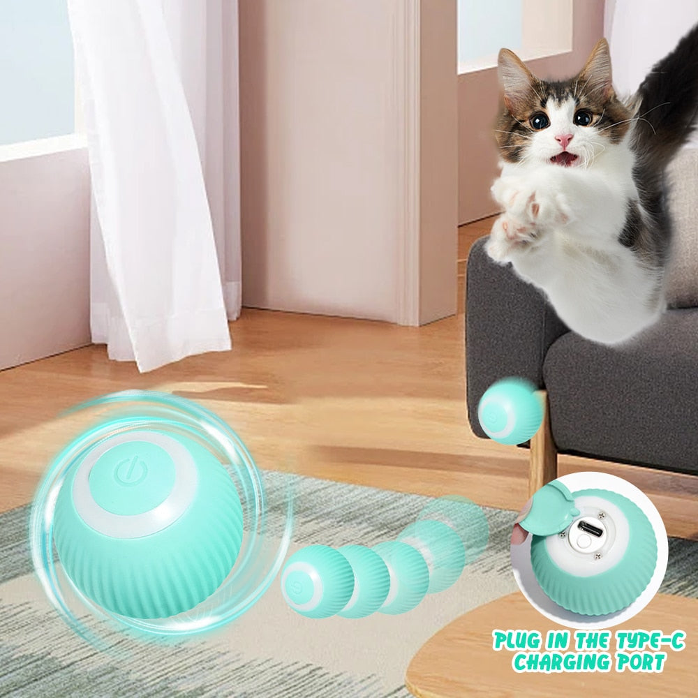 Brinquedos Inteligentes Do Gato Que Detectam O Jogo Eletrônico